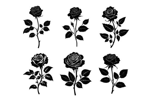 Beautiful Rose Flowers: A Thoughtful Guide to Using Premium EPS Illustration Sets